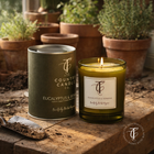 REFRESHED - The Herb Garden Capsule (Spring/Summer)