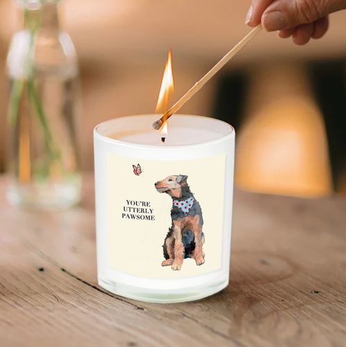 Scented Candles