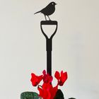 Indoor Pot Stems