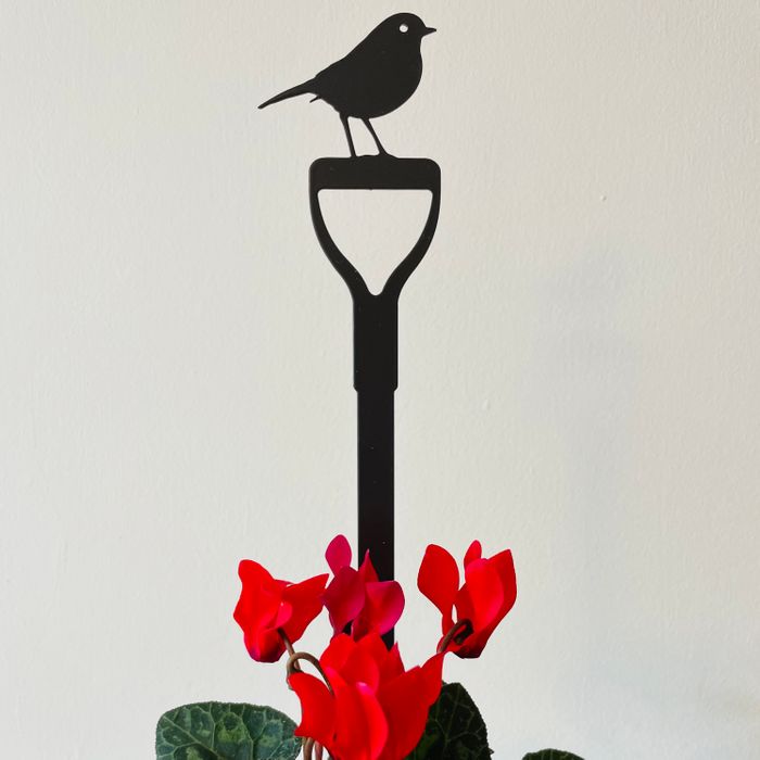 Indoor Pot Stems
