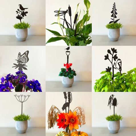 Indoor Pot Stems