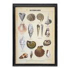 VINTAGE PRINTS