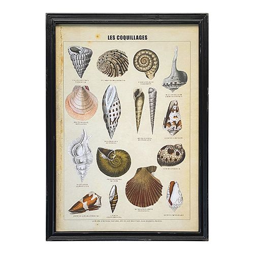 VINTAGE PRINTS