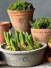 Kew Rustic Terracotta