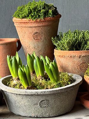 Kew Rustic Terracotta