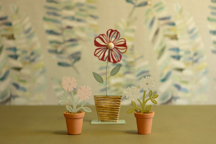 New for SS25 - Bloom and Bright