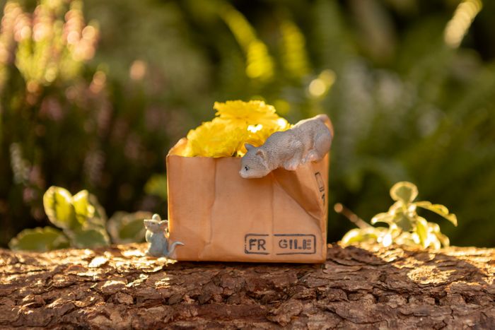 New for SS25 - Miniature Garden