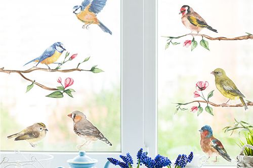 Garden birds window sticker pack