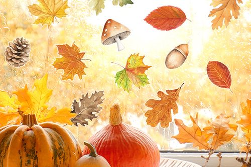 Autumn Leaves window sticker pack