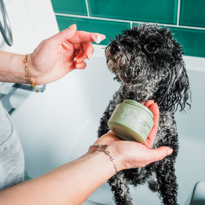 Wags Premium Pet Care