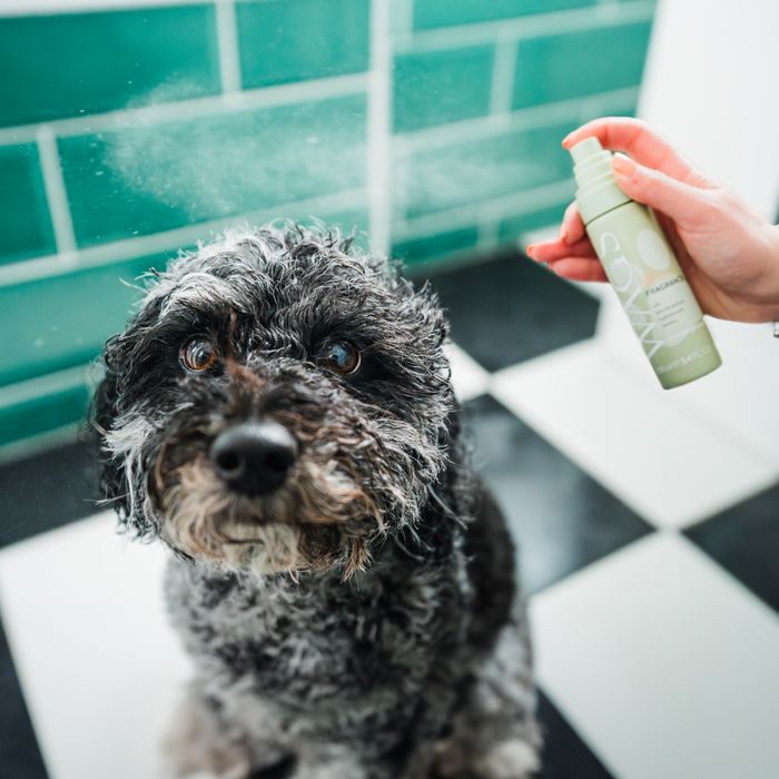 Wags Premium Pet Care