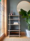 Toby shelf