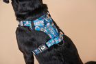 Recycled Dog Accessories