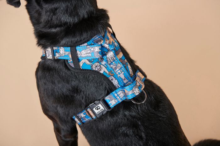 Recycled Dog Accessories
