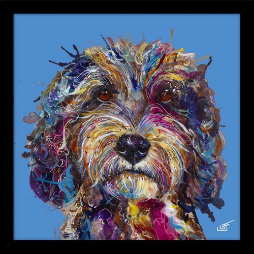 Cockapoo