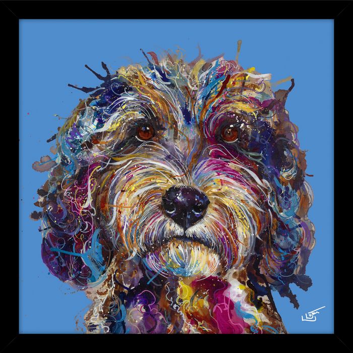Cockapoo