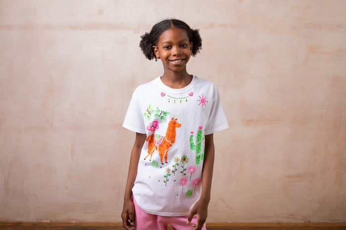Llama T-shirt Painting Craft Kit