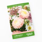 Flower & Vegetable Seeds