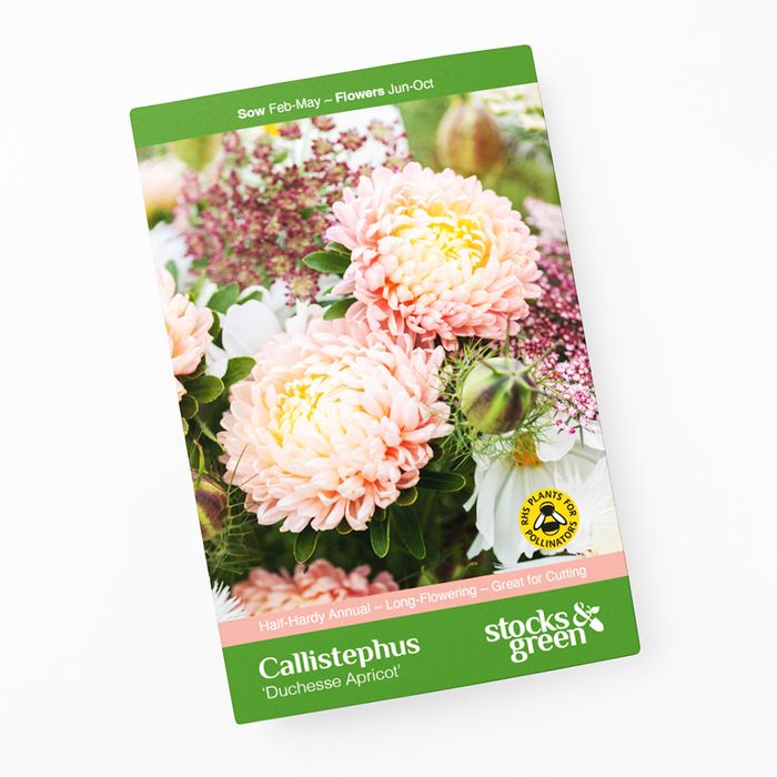 Flower & Vegetable Seeds
