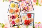 Dahlia beach x Lola design collaboration