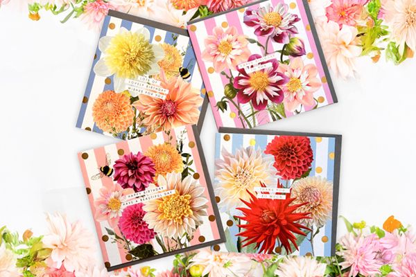 Dahlia beach x Lola design collaboration