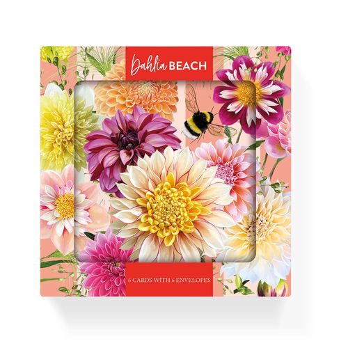 New beautiful notecards packs