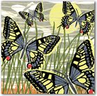 New for 2026 - Chris McColl