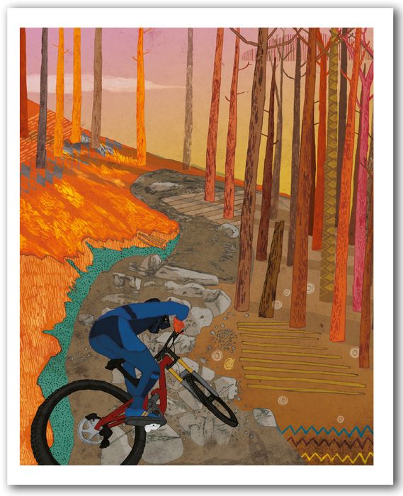 New for 2026 from David Broadbent