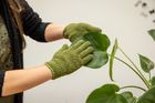 Plant Dust Gloves