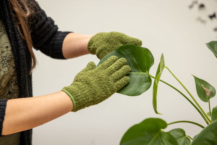 Plant Dust Gloves