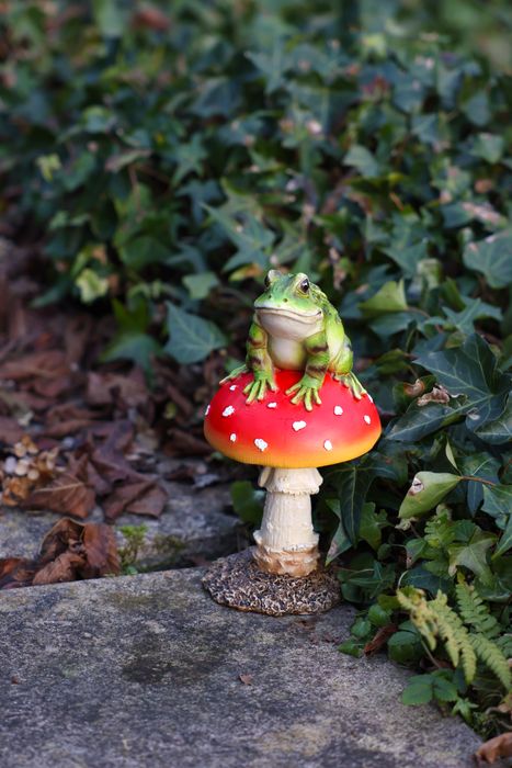 Resin Frog on Toadstool