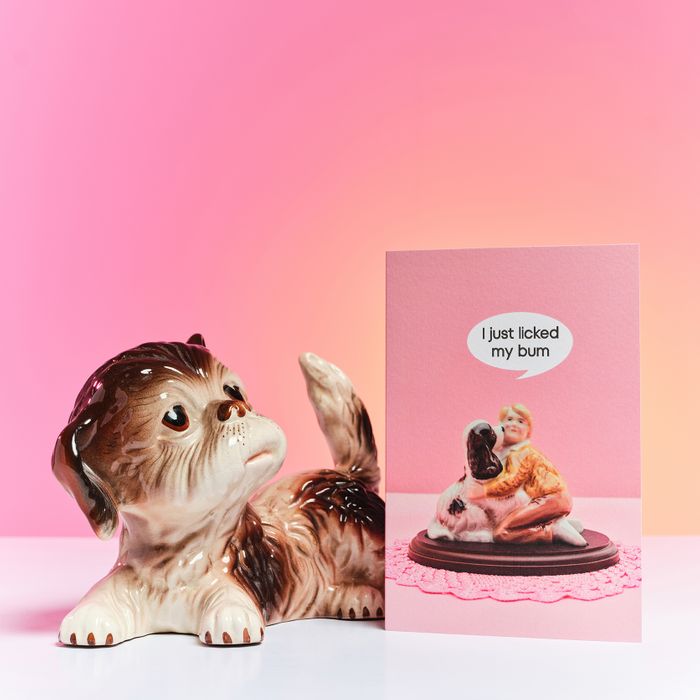 Cheeky Cards for Pet Lovers