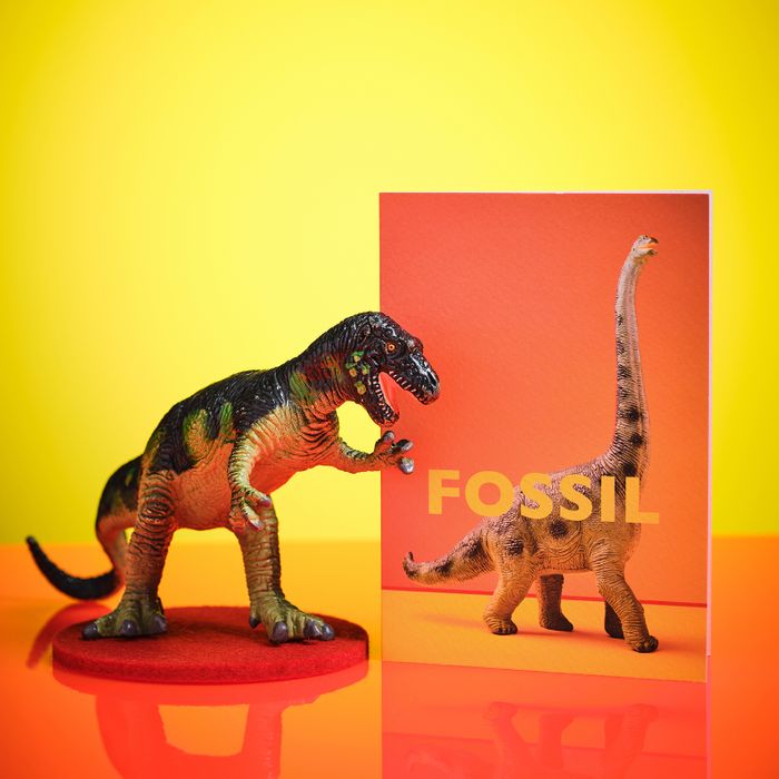 Roarsome Dinosaur Cards