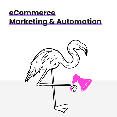 eCommerce Marketing & Automation