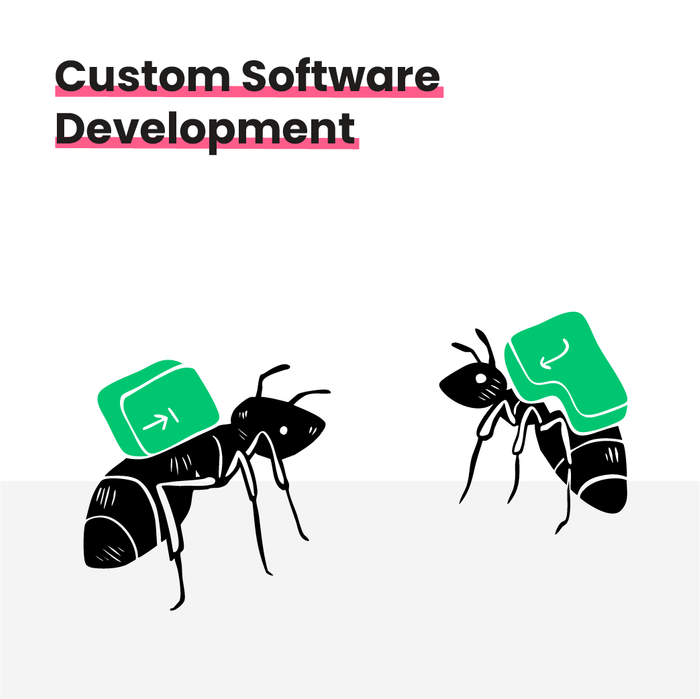 Custom Software Development