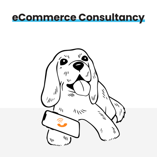eCommerce Consultancy