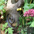 Fun Snail garden feature - The LVB signature product!
