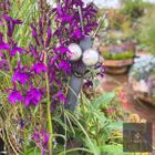 Fun Snail garden feature - The LVB signature product!