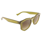 Audrey Kiwi | Bestseller