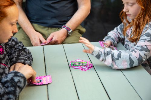 Playing the Snap-Dog card game