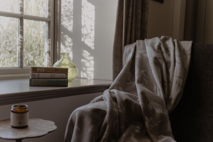 Nature Thistle and Bee