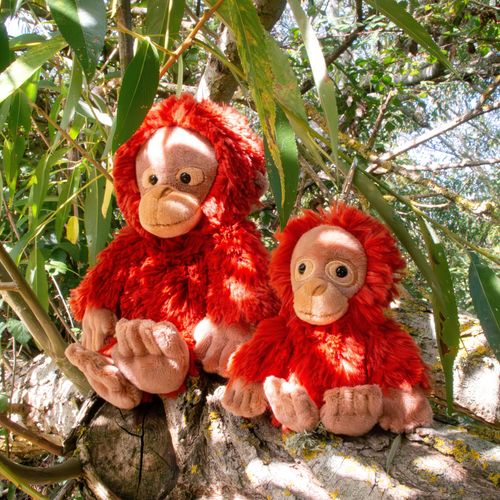 Maximus the Orangutan