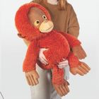 Maximus the Orangutan