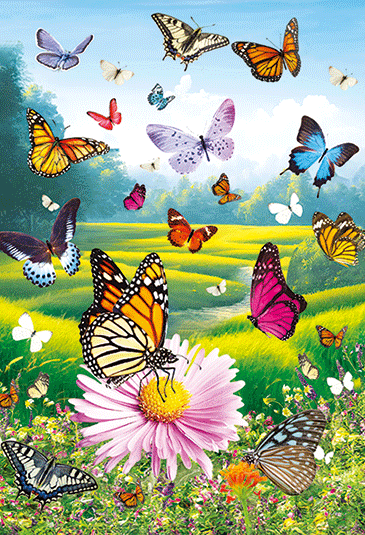 Brand New 3D Notebooks