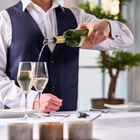 Wine Chill Stick - Pourer / Cooler / Preserver