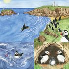 Marli's Tangled Tale