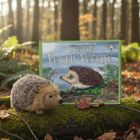 Bertie's Prickly Problem