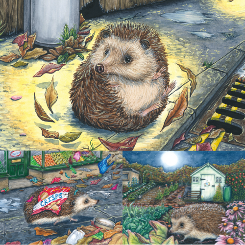 Bertie's Prickly Problem