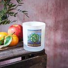 Winter Oranges candle