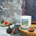 Fig Grove candle